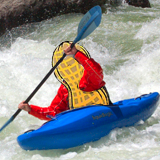 surfnutbry
